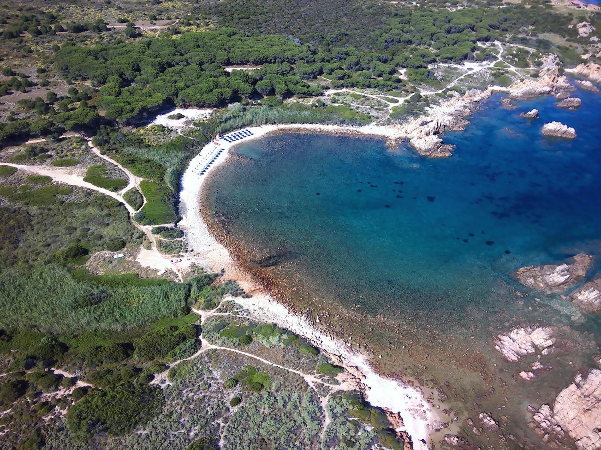 Gli Oleandri Di Calarossa - 5M Walk To The Beach Isola Rossa Dış mekan fotoğraf